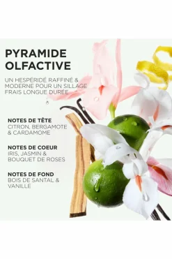 Bain crème hydra-illuminant pour cheveux épais sujets aux frisottis Gloss Absolu