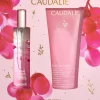 Coffret rose des vignes gel douche offert