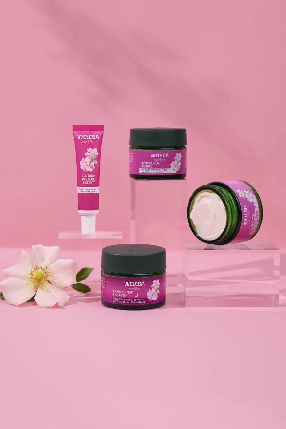 Crème de jour lissante rose musquée & thé blanc