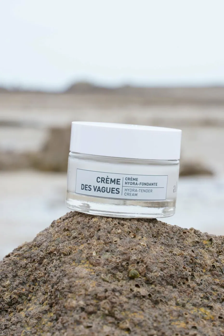 Crème hydra-fondante – Crème des Vagues