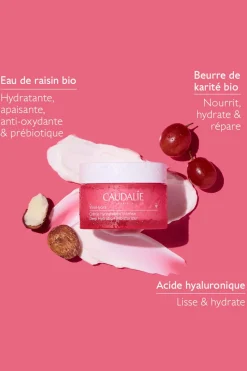 Crème Hydratation Intense Vinohydra
