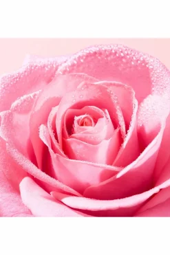 Huile délicate démaquillante Very Rose