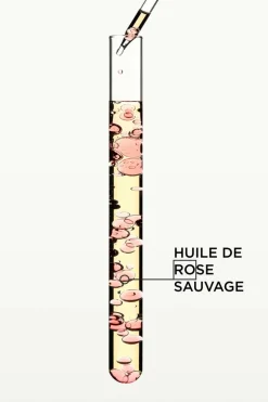 Huile Gloss Absolu