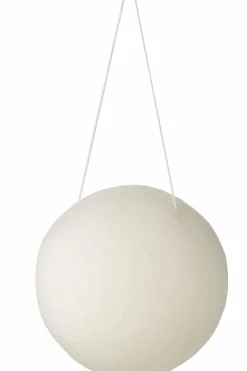 Éponge konjac