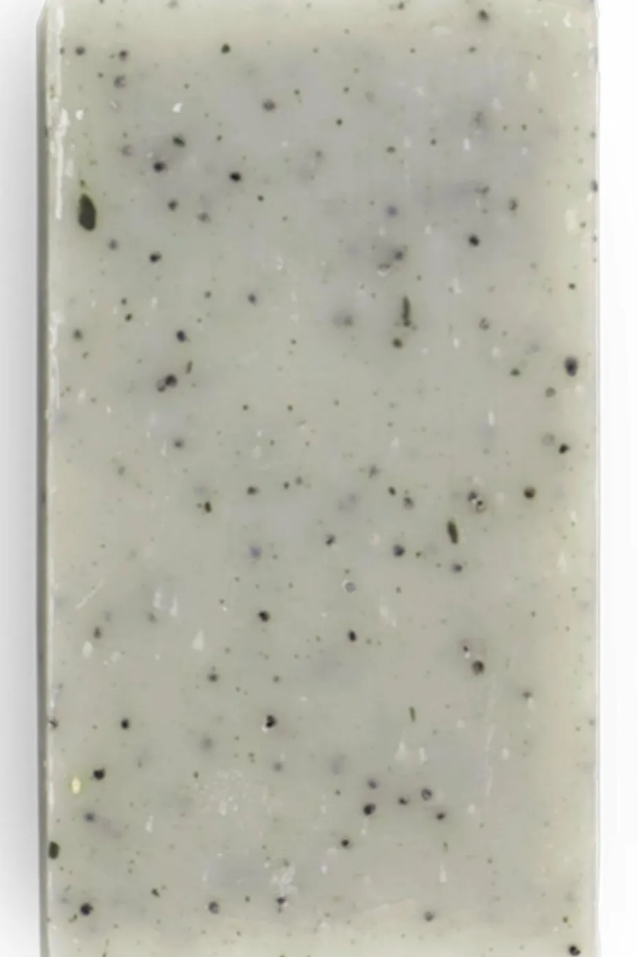 Savon solide exfoliant le Gecko