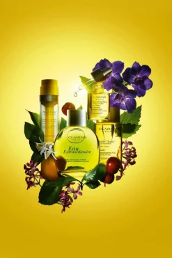 Soin hydratant visage Plant Gold L’Or des Plantes