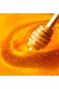 Soin satiné lèvres Rêve de Miel®